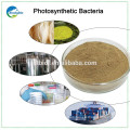 Used probiotic photosynthetic bacteria organic animal feed